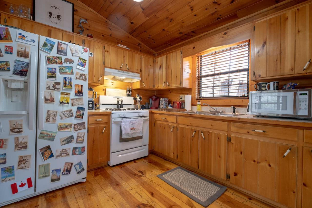 הוילה בלו רידג' Three Dog Night - Pet-Friendly Cabin With Hot Tub מראה חיצוני תמונה