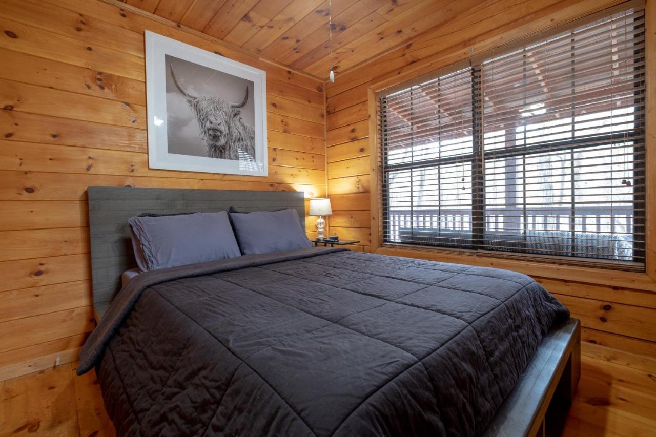 הוילה בלו רידג' Three Dog Night - Pet-Friendly Cabin With Hot Tub מראה חיצוני תמונה