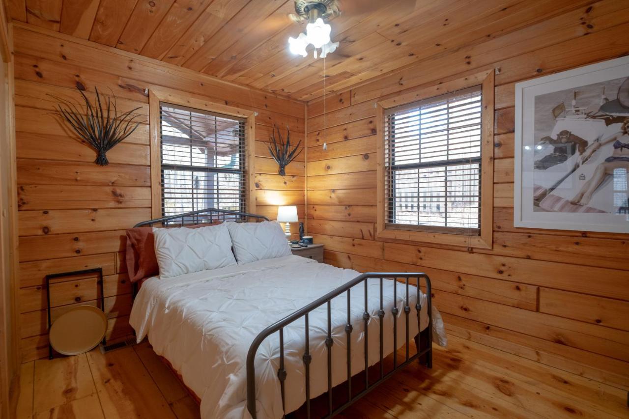 הוילה בלו רידג' Three Dog Night - Pet-Friendly Cabin With Hot Tub מראה חיצוני תמונה