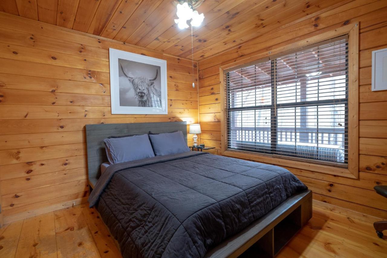 הוילה בלו רידג' Three Dog Night - Pet-Friendly Cabin With Hot Tub מראה חיצוני תמונה
