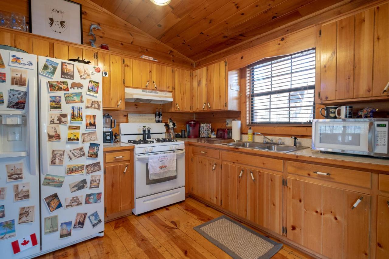 הוילה בלו רידג' Three Dog Night - Pet-Friendly Cabin With Hot Tub מראה חיצוני תמונה