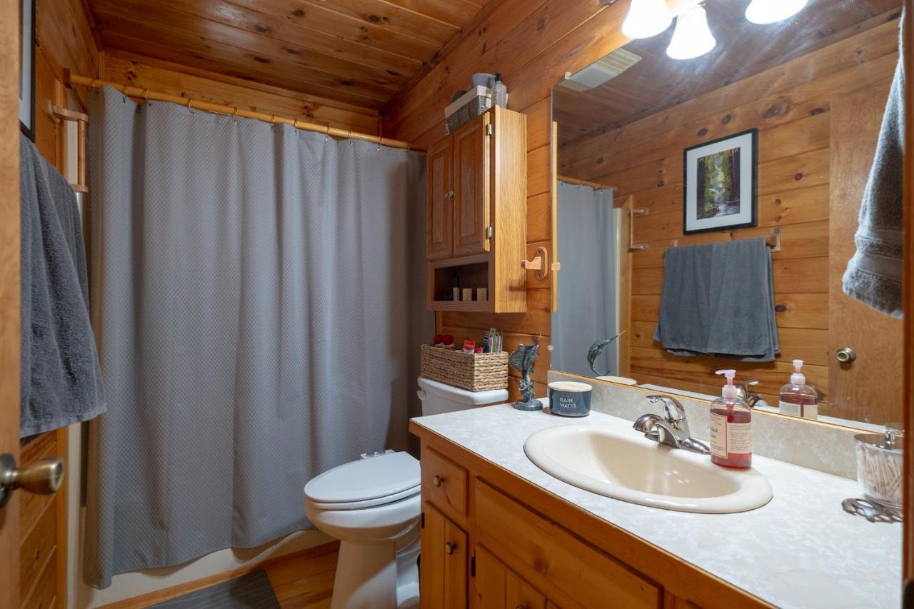 הוילה בלו רידג' Three Dog Night - Pet-Friendly Cabin With Hot Tub מראה חיצוני תמונה