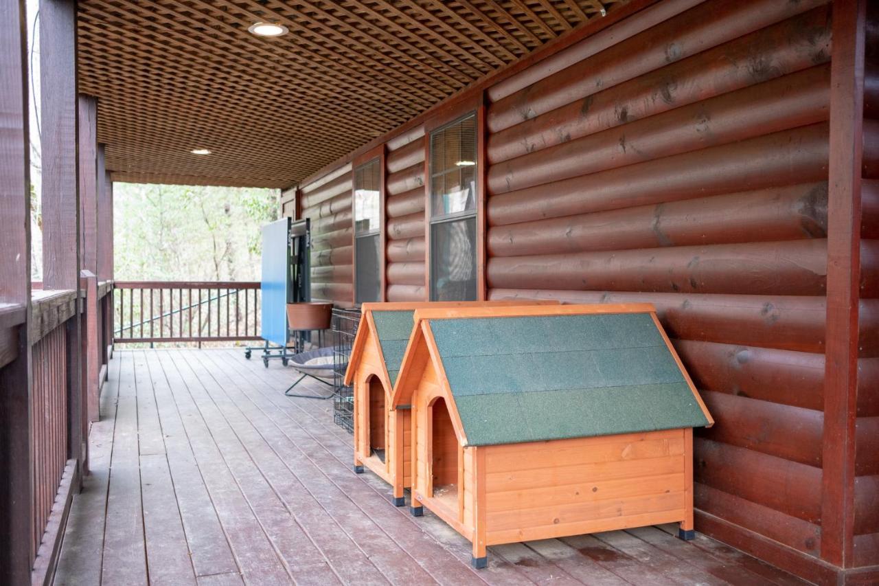 הוילה בלו רידג' Three Dog Night - Pet-Friendly Cabin With Hot Tub מראה חיצוני תמונה